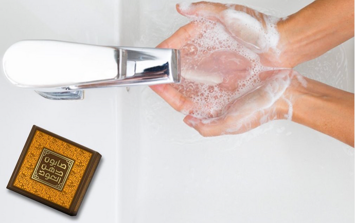 How to Wash Your Hands & Prevent the Spread of Germs